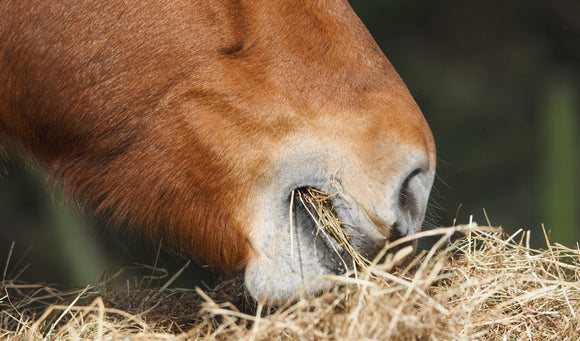 Avoiding a Hay Belly