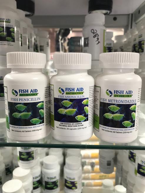 Bottles of Fish Aid antibiotics, including Fish Penicillin, Fish Amoxicillin, and Fish Metronidazole, are displayed on a shelf. The labels feature images of fish, suggesting medicinal use for aquatic pets. The setting conveys a clinical or veterinary atmosphere.