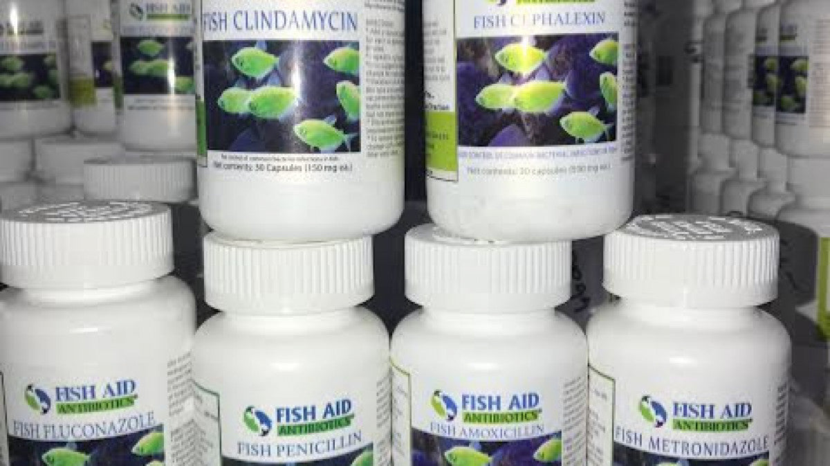 FishAid Products - Phoenix, AZ - Gordon's Feed